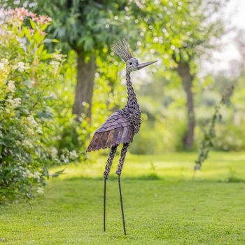 Kroonkraanvogel groot